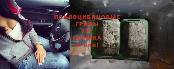 амф Бугульма