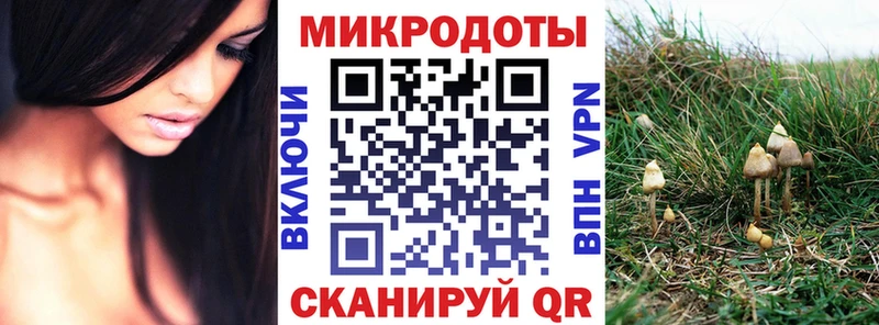 Псилоцибиновые грибы мицелий  Кузнецк 
